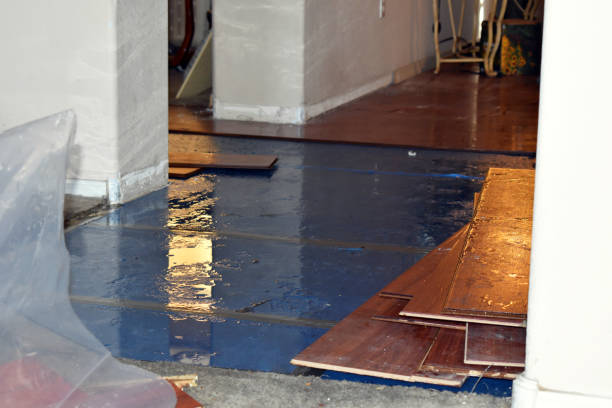 Professional Basement Flood Cleanup technician working in Clintonville, WI